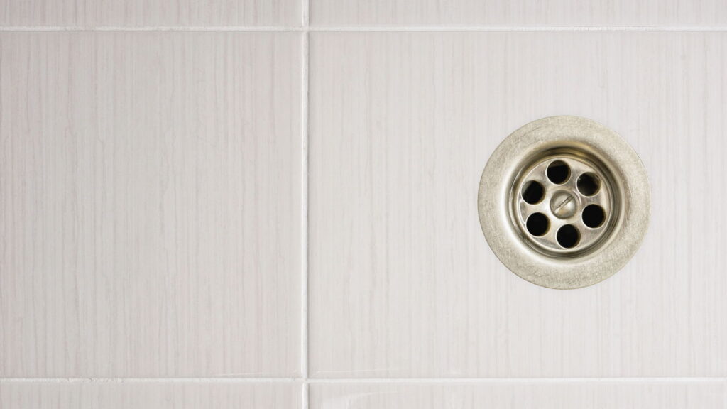 O erro mais comum que faz surgir mau cheiro e insetos no banheiro