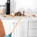 Esse objeto esquecido pode estar atraindo ratos para sua cozinha