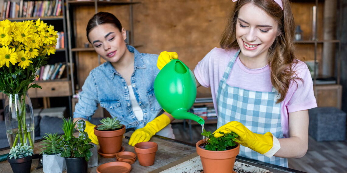 O horário ideal para regar que pode salvar suas plantas
