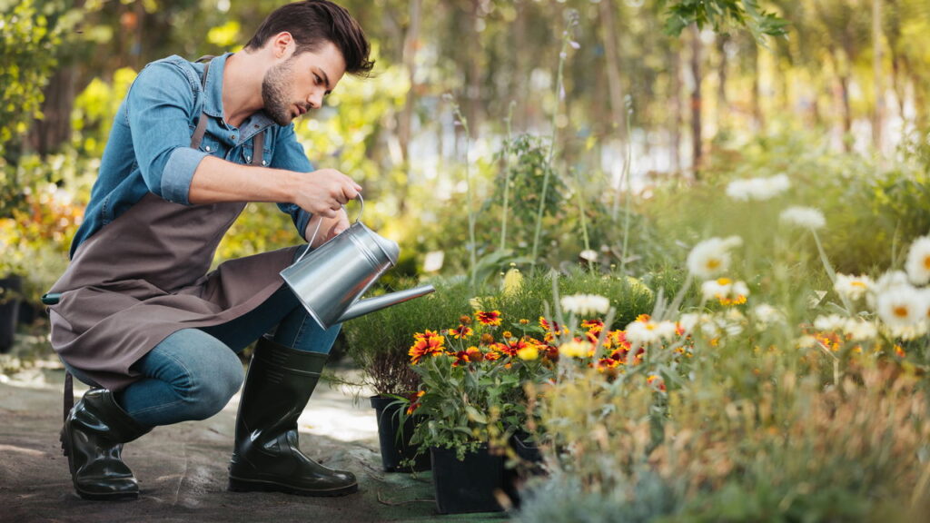 Como saber se a planta está morrendo por excesso ou falta de água