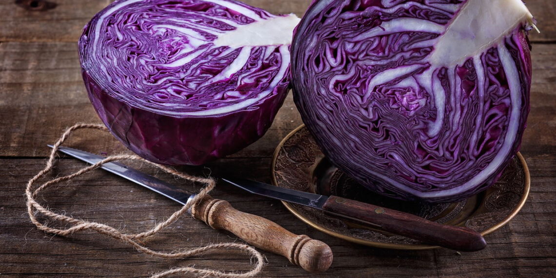Aprenda a como ter um dos alimentos mais versáteis a todo momento em sua casa!