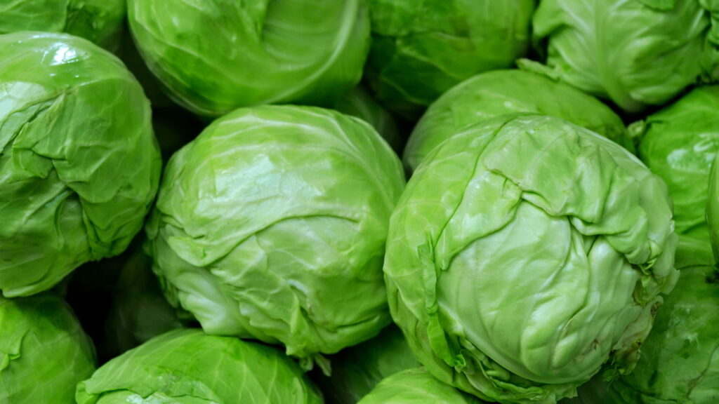 Amado pelo sabor com este guia você vai querer cultivar esse vegetal sempre!