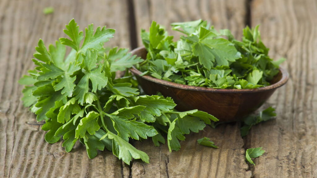 As 3 plantas que você pode cultivar na cozinha para temperos frescos