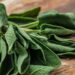 Essa planta além de ajudar muito sua saúde é fácil de cultivar e serve de alimento!