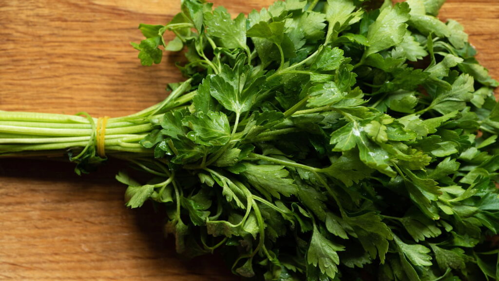 Além de enriquecer sua horta com essa erva versátil ela ainda é rápido no cultivo