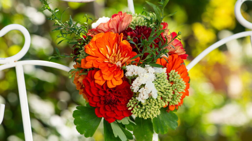 Com cores vibrantes e pétalas lindas ela ainda é simples de cultivar em seu jardim