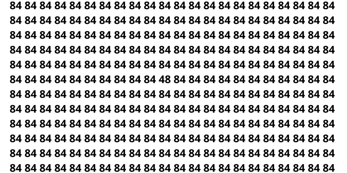 Só os mais atentos conseguem ver o número 48 em 12 segundos