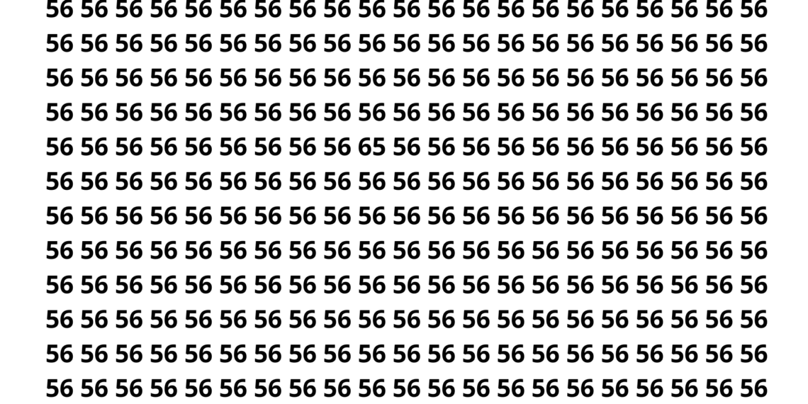 Só os mais atentos veem o número 65 em menos de 10 segundos