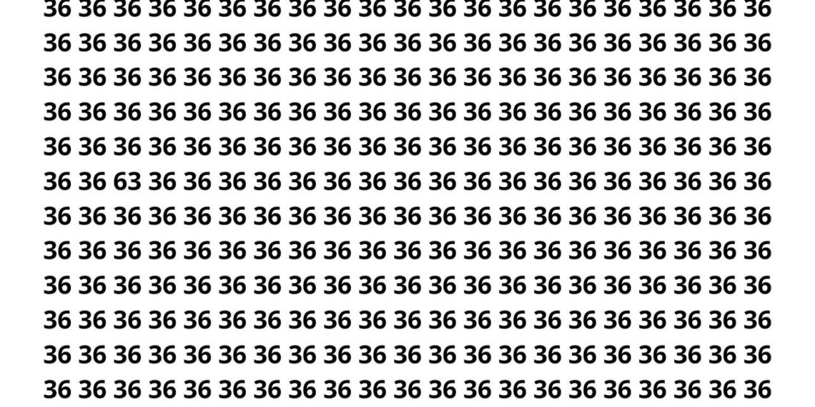 Você consegue encontrar “63” escondido em apenas 9 segundos?