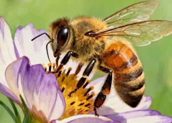 Essas plantas aromáticas espantam as abelhas da sua casa facilmente