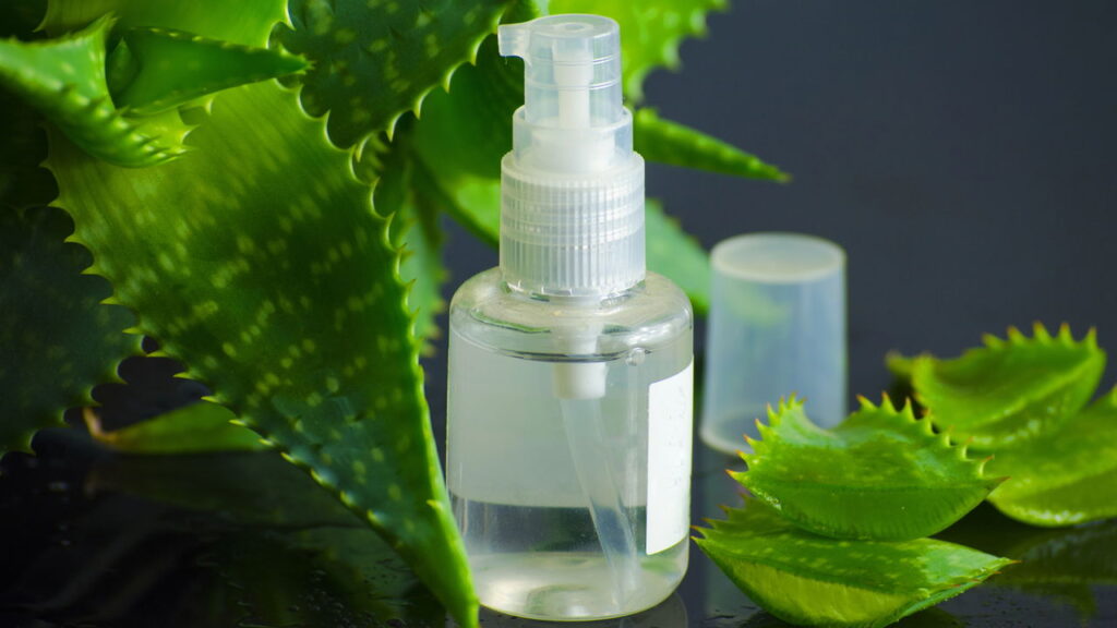 Plantas que ajudam a curar ralados de forma natural e eficaz