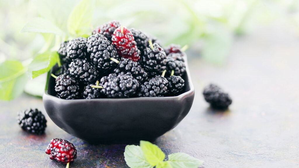5 frutas resistentes a pragas que crescem em vasos externos simples