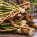 4 benefícios da raiz-forte que a tornam um remédio natural potente
