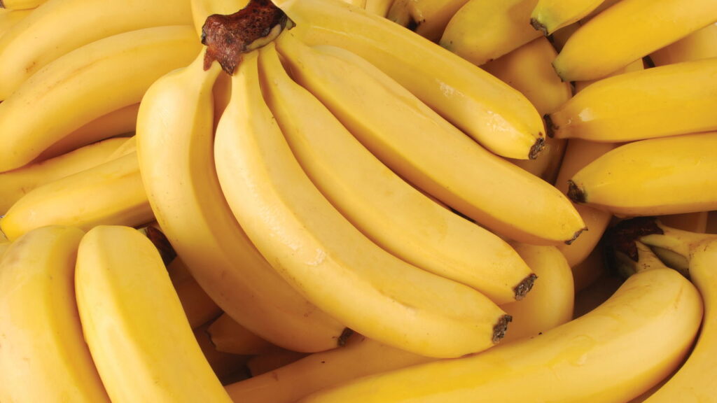 4 frutas tropicais que se adaptam a vasos e dão frutos abundantes