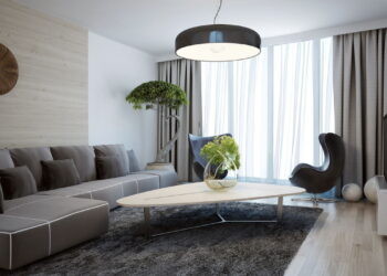 Aprenda a escolher as plantas ideais para decorar sua sala