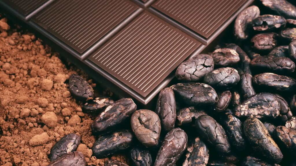 Alimentos que combatem o estresse feminino segundo nutricionistas