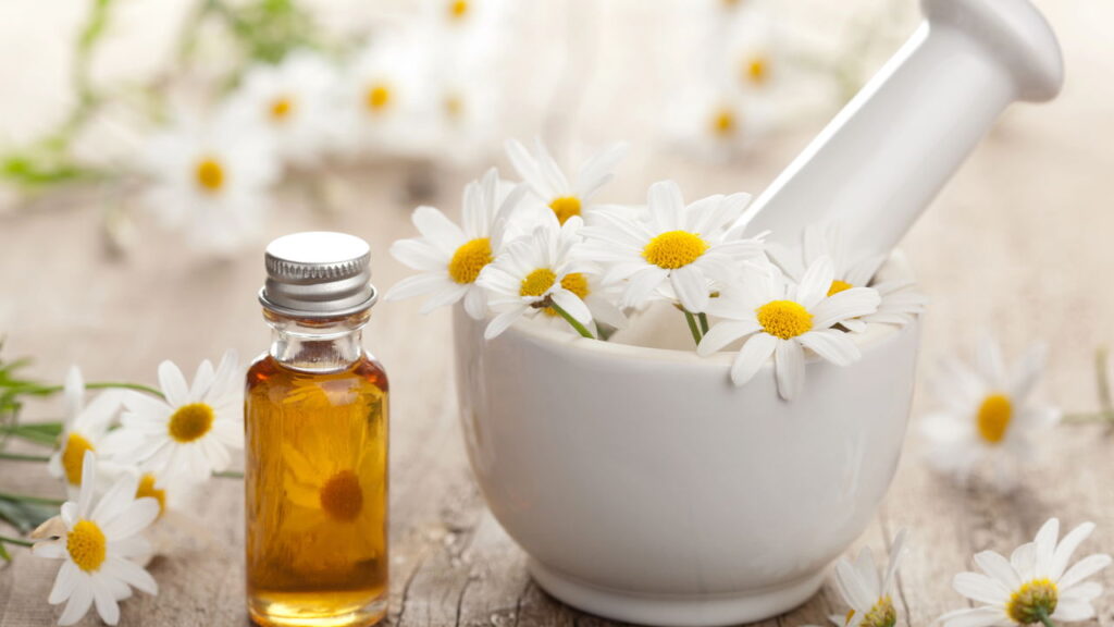 Ervas aromáticas para cultivar e usar em chás relaxantes caseiros