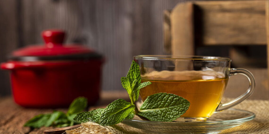 Como preparar chá de camomila com lavanda para relaxar
