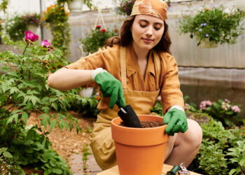 3 frutas exóticas fáceis de plantar em casa sem precisar de solo amplo