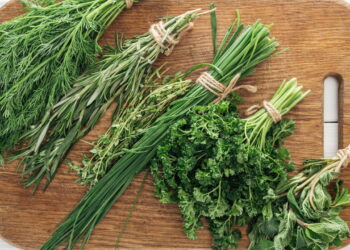 3 plantas que apoiam a saúde linfática com drenagem suave