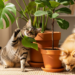 Essas plantas deixam sua casa linda sem colocar seus pets em risco