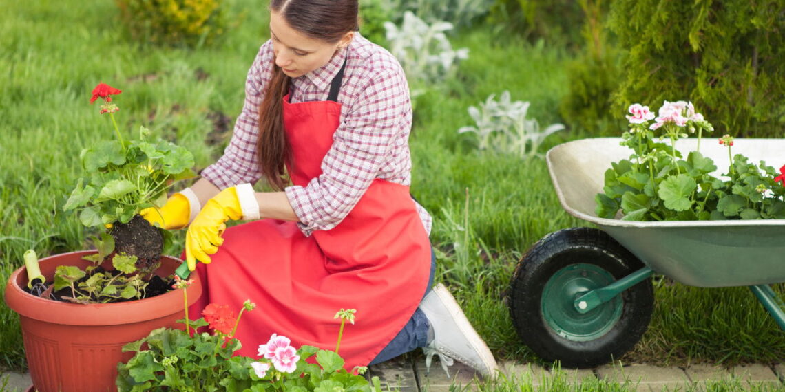 Como a jardinagem cura o estresse cotidiano segundo a psicologia