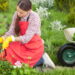 Como a jardinagem cura o estresse cotidiano segundo a psicologia