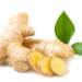 5 ervas medicinais que cuidam do corpo e da mente de forma natural