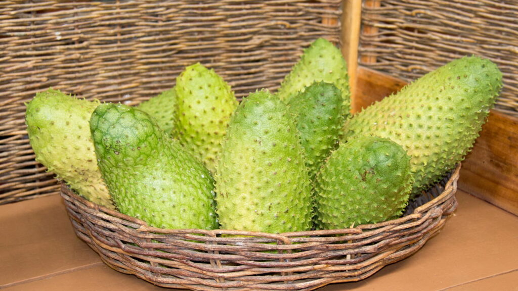 4 frutas resistentes que crescem em solos comuns e produzem consistentemente