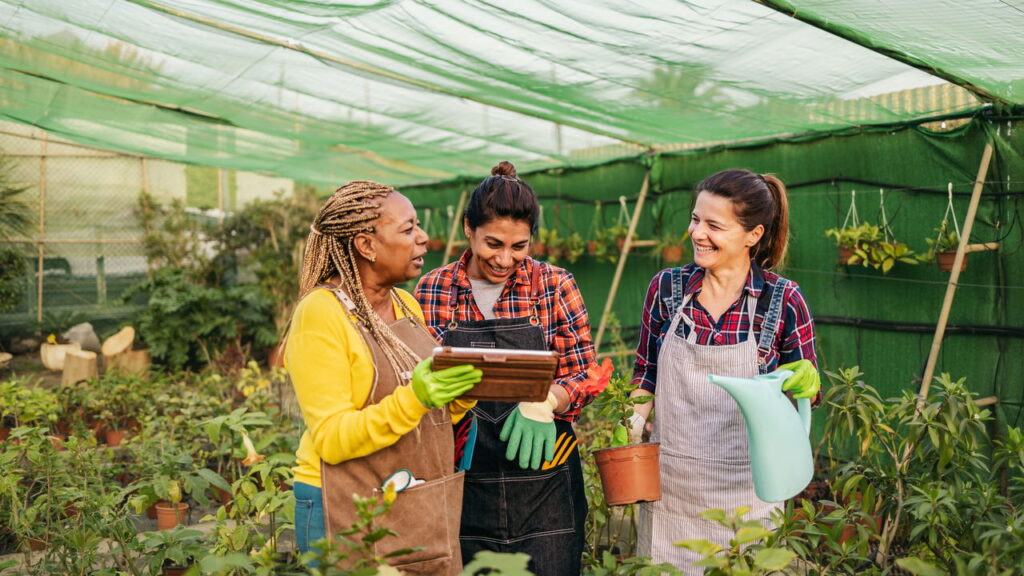 Como a jardinagem cura o estresse cotidiano segundo a psicologia