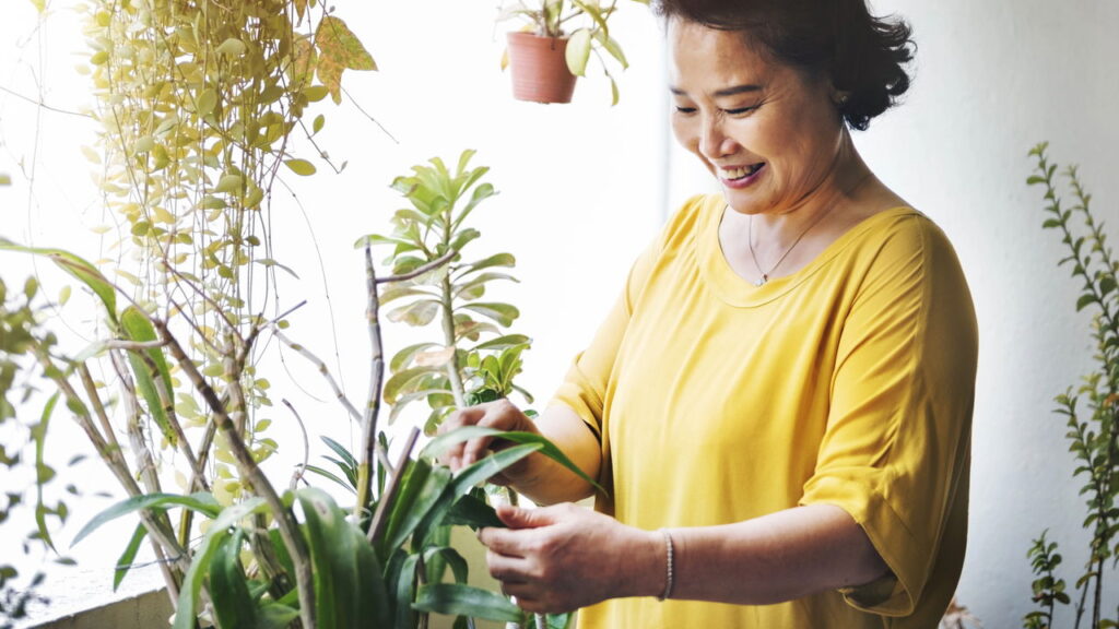 Como a jardinagem cura o estresse cotidiano segundo a psicologia