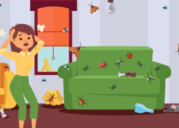 Como manter sua casa livre de pragas com organização e limpeza