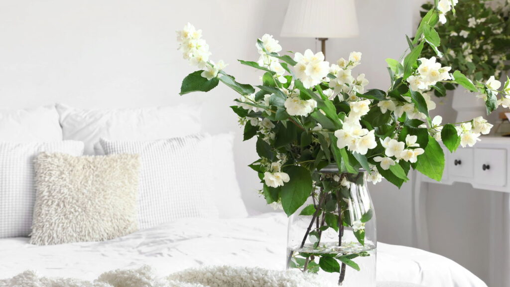 Plantas que ajudam a dormir e relaxam o corpo