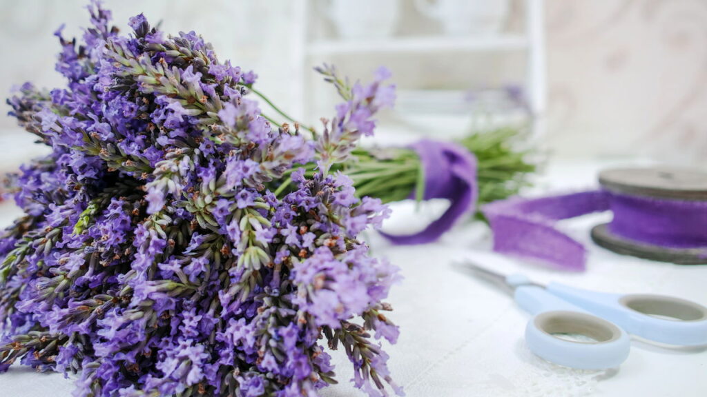 Plantas que criam zonas de meditação com aromas sutis e calmantes