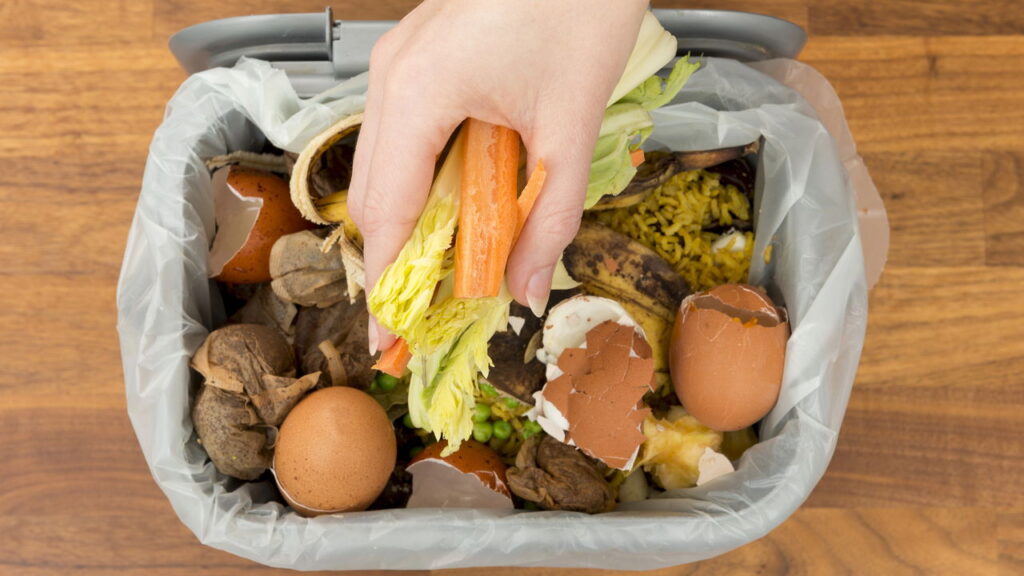 O que atrai baratas e formigas para sua cozinha e como evitar de vez
