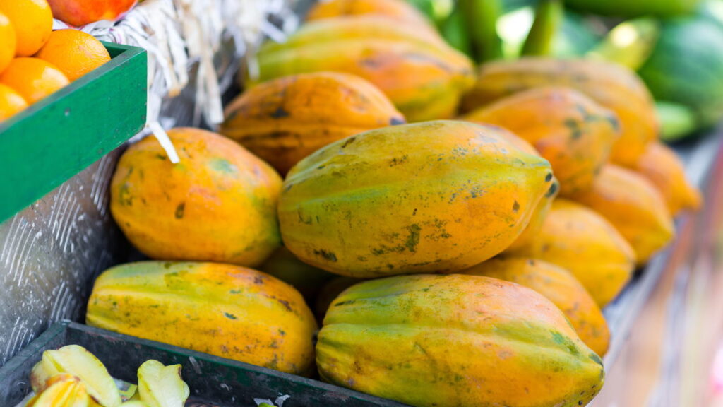 Frutas tropicais que crescem em vasos e dão resultado rápido