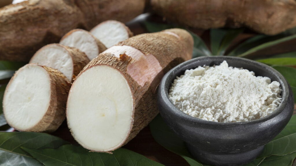Dicas para conservar mandioca fresca por dias