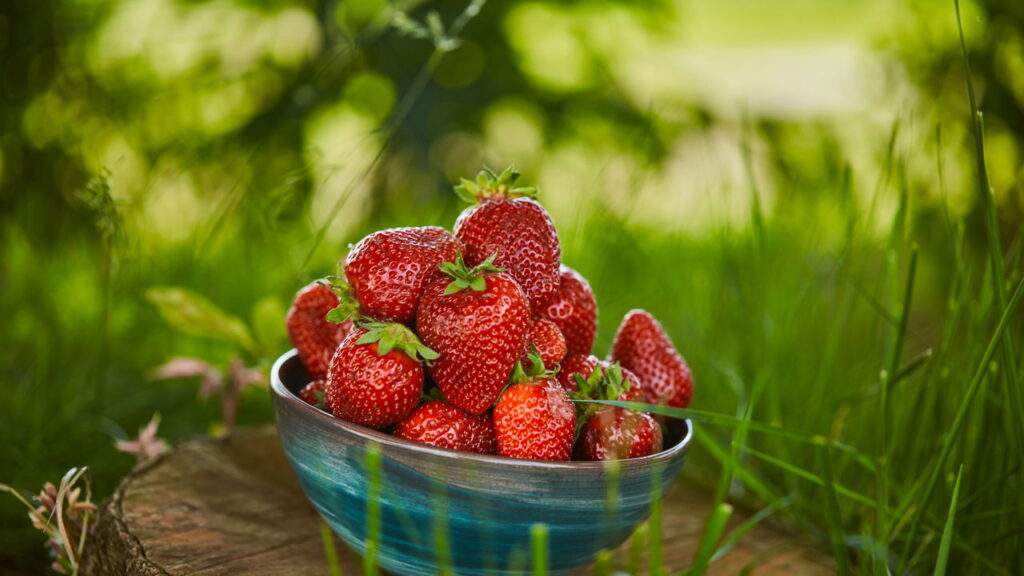 3 frutas nutritivas que se adaptam a luzes LED suplementares