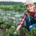 Essa planta atrai amor e harmonia nos relacionamentos segundo tradições antigas