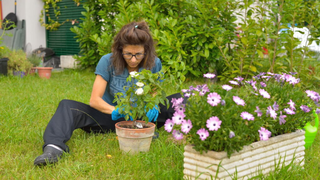 Cuidar de plantas melhora o humor segundo a psicologia
