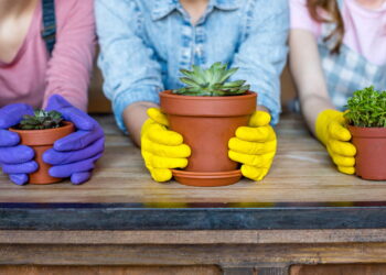 Cuidar de plantas melhora o humor segundo a psicologia
