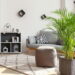 Plantas de folhas grandes para decorar ambientes amplos de casa