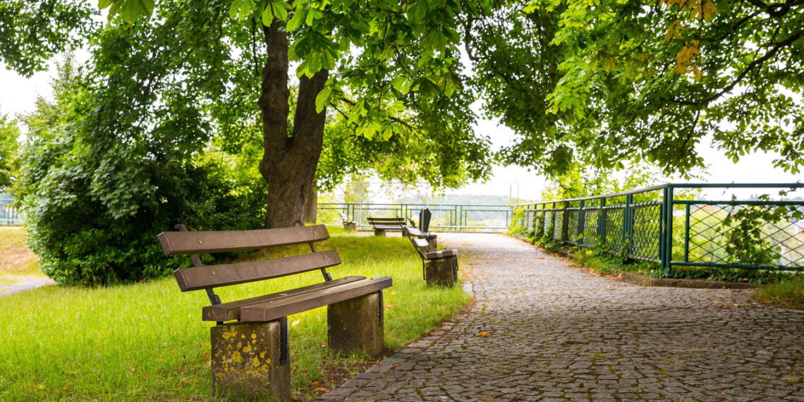 Parque turístico fecha as portas após negligência e dívidas milionárias