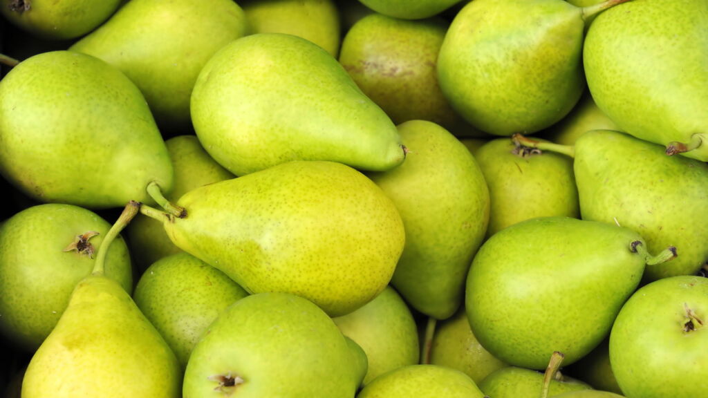 3 frutas que resistem a geadas leves e colhem em invernos suaves