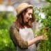 Essas plantas atraem vigor para caminhadas e atividades ao ar livre