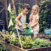 As 3 plantas que adaptam ambientes infantis com diversão verde e segurança inovadora