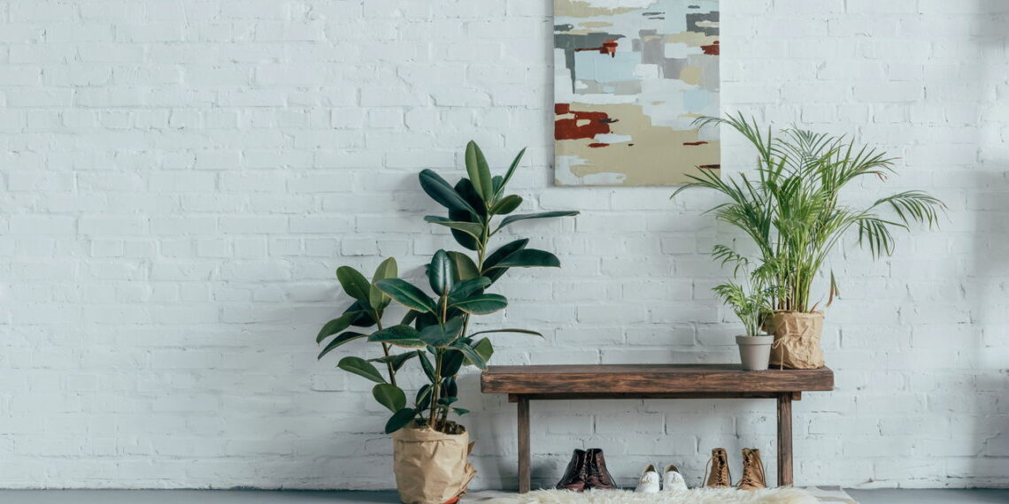 4 plantas tropicais que infundem energia exótica e acolhedora no ambiente