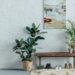 4 plantas tropicais que infundem energia exótica e acolhedora no ambiente