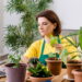 Tipos de plantas que atraem o azar para dentro de sua casa