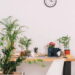 Plantas que adicionam movimento com folhas que se mexem ao vento